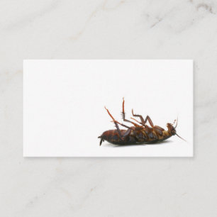 Tarjeta de visita del Exterminator
