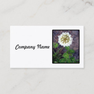 Tarjeta de visita del flor del trébol blanco