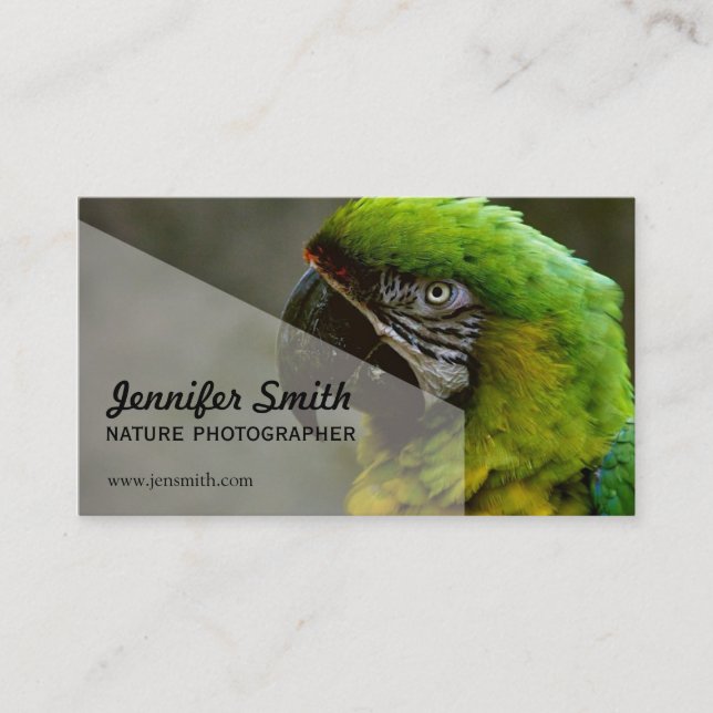 Tarjeta de visita del fotógrafo de la naturaleza (Anverso)