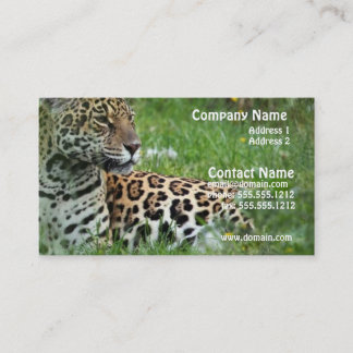 Tarjeta de visita del gato de Jaguar