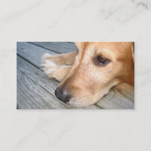 Tarjeta de visita del golden retriever