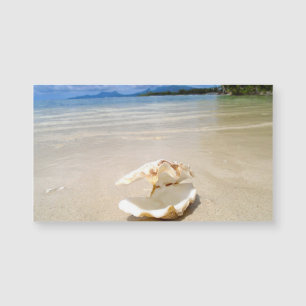 Tarjeta de visita del imán de la playa del