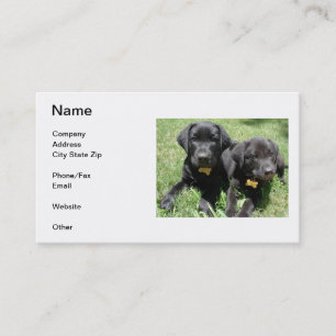 Tarjeta de visita del labrador retriever