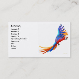 Tarjeta de visita del loro del Macaw del vuelo