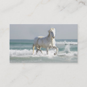 Tarjeta de visita del océano del caballo