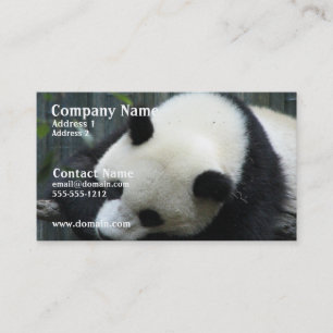 Tarjeta de visita del oso de panda
