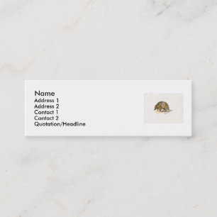 Tarjeta de visita del perfil del armadillo