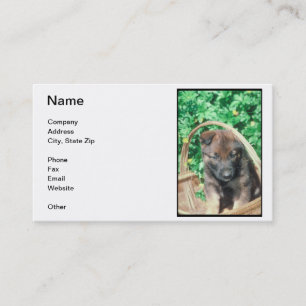 Tarjeta de visita del perrito de Malinois del