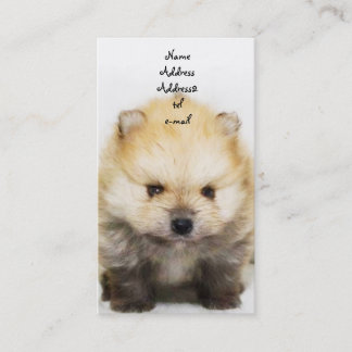 Tarjeta de visita del perrito de Pomeranian