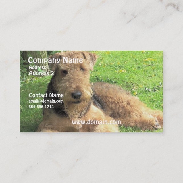 Tarjeta de visita del perro de Airedale Terrier (Anverso)