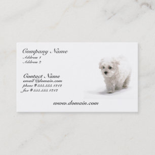 Tarjeta de visita del perro de Bichon Frise