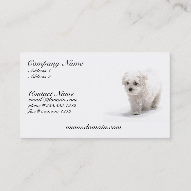 Tarjeta de visita del perro de Bichon Frise (Anverso)