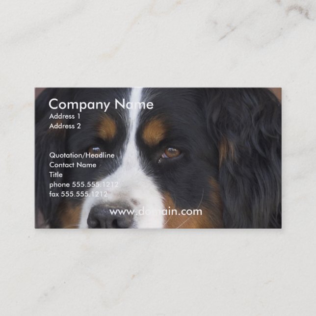Tarjeta de visita del perro de montaña de Bernese (Anverso)