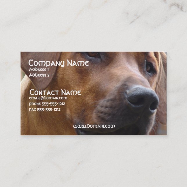Tarjeta de visita del perro de Rhodesian Ridgeback (Anverso)