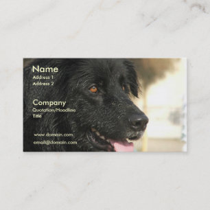 Tarjeta de visita del perro de Terranova
