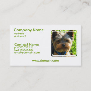 Tarjeta de visita del perro de Yorkshire Terrier