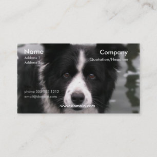 Tarjeta de visita del perro del border collie