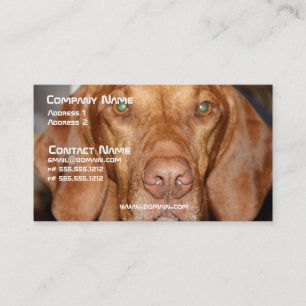 Tarjeta de visita del perro del Coon