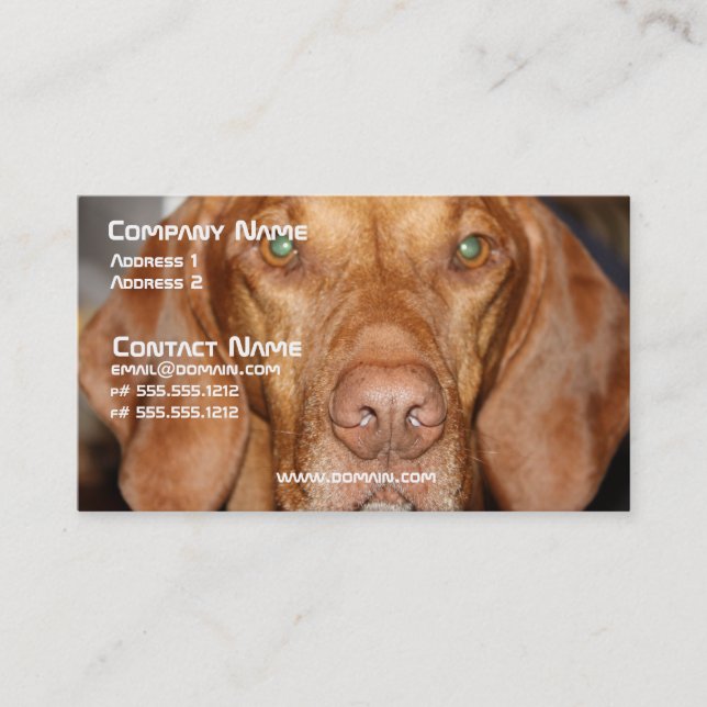 Tarjeta de visita del perro del Coon (Anverso)