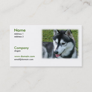 Tarjeta de visita del perro del husky siberiano
