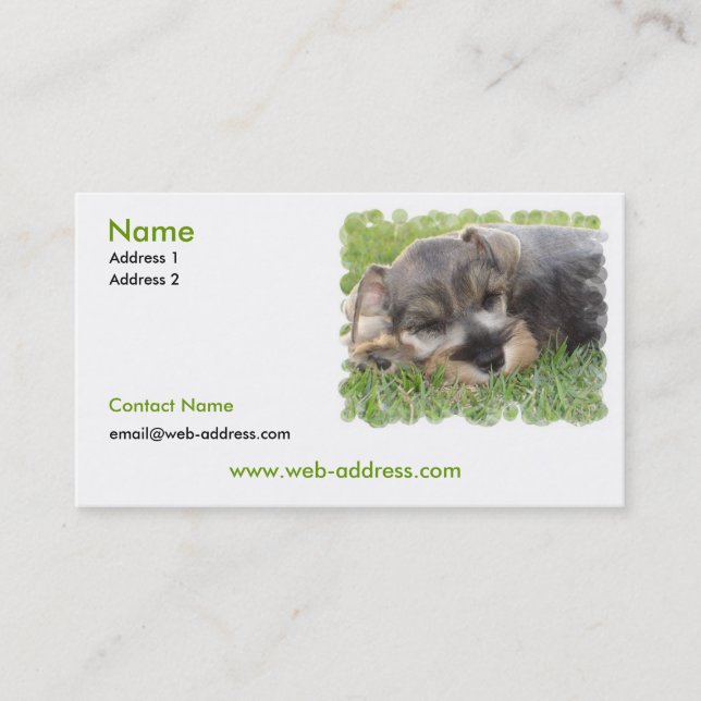 Tarjeta de visita del perro del Schnauzer (Anverso)