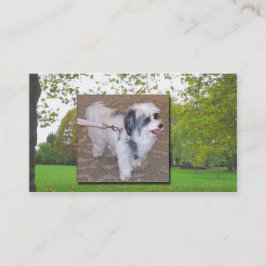 Tarjeta de visita del perro que camina