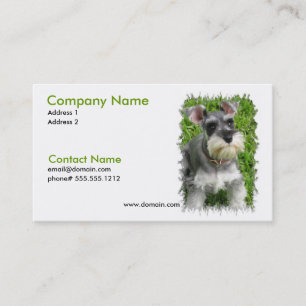 Tarjeta de visita del Schnauzer miniatura