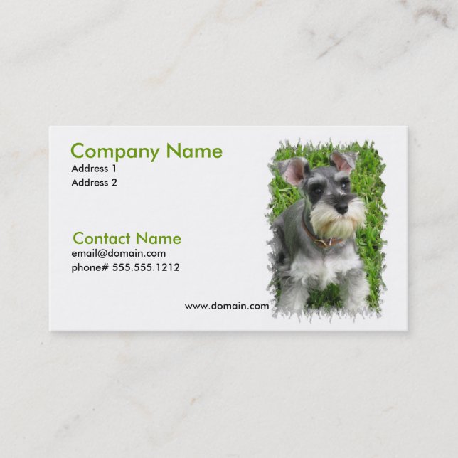 Tarjeta de visita del Schnauzer miniatura (Anverso)