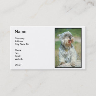 Tarjeta de visita del Schnauzer miniatura