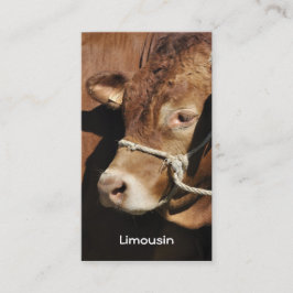 Tarjeta de visita del toro de Lemosín