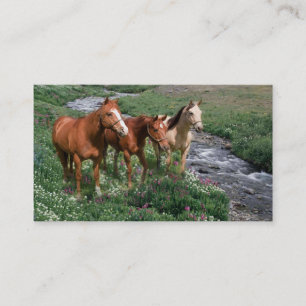 Tarjeta de visita del trío del caballo