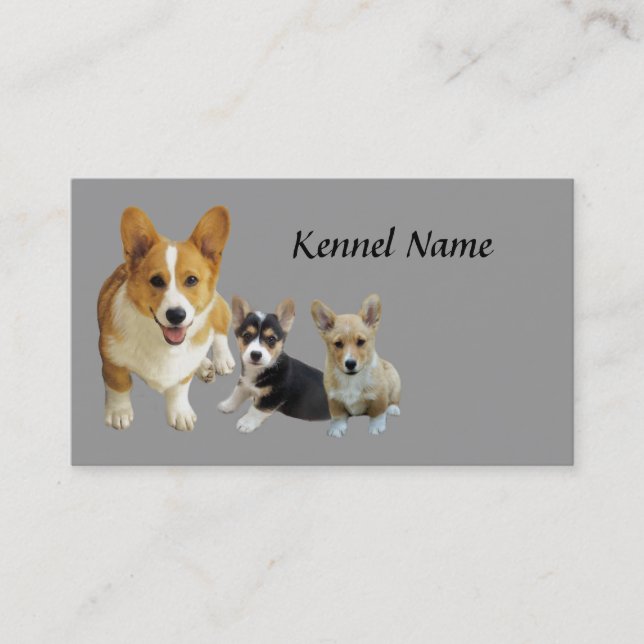 Tarjeta de visita del trío del Corgi Galés del (Anverso)
