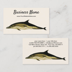 Tarjeta De Visita Delfín Delphinus Delphis, Animales Marinos Antiguo