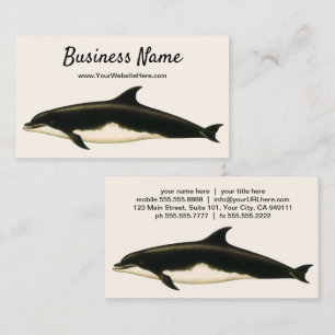 Tarjeta De Visita Delfines Delphinus Tursio, Animales Marinos Antigu
