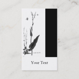 Tarjeta De Visita DES Prés de Oseille