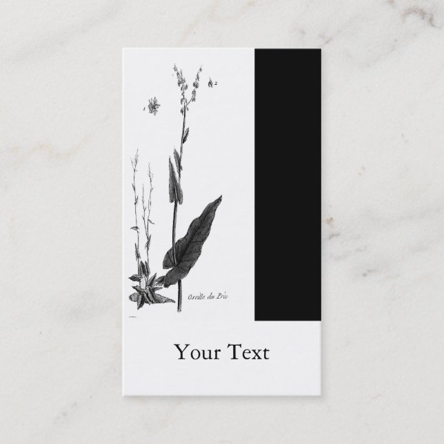 Tarjeta De Visita DES Prés de Oseille (Anverso)