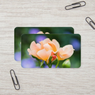 Tarjeta De Visita deseo de desarrollo
