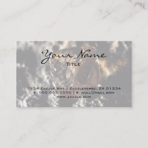 Tarjeta De Visita Diamante, humeante