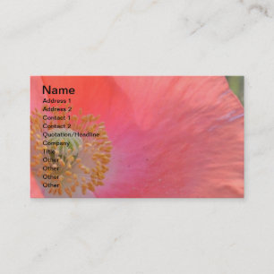 Tarjeta De Visita Diaria es una oportunidad