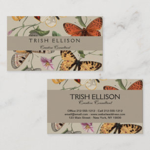 Tarjeta De Visita Dibujo de la Colección de Mariposas y Polillas de