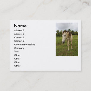 Tarjeta De Visita Diligencia,