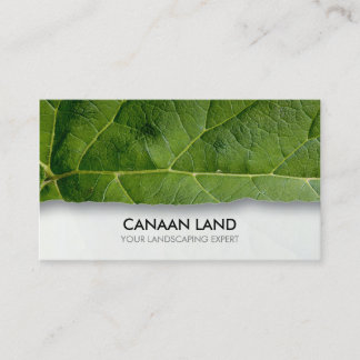 Tarjeta De Visita Diseñador de paisajes Jardinero