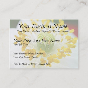 Tarjeta De Visita Disquete blanco Delicado