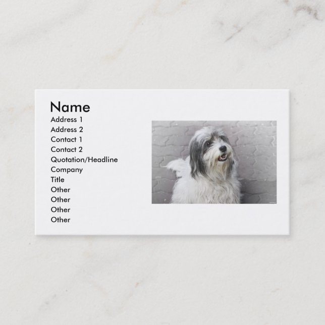 Tarjeta De Visita Dog Business Card (Anverso)