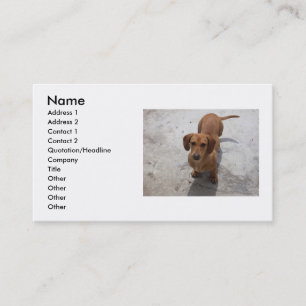 Tarjeta De Visita Dog Business Card