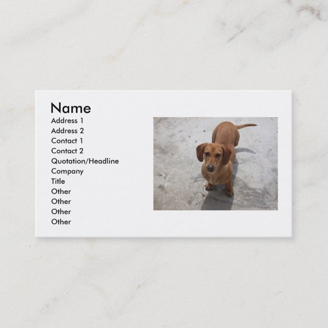 Tarjeta De Visita Dog Business Card (Anverso)