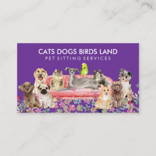 Tarjeta De Visita Dog Cat Bird Hotel Sofa Mascota Sentado en púrpura