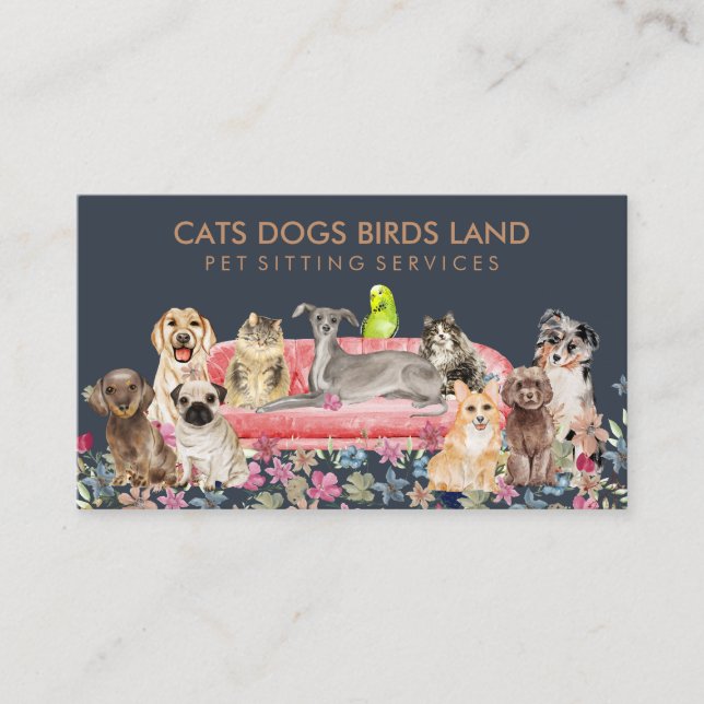 Tarjeta De Visita Dog Cat Bird Hotel Sofa Mascota Sitting (Anverso)