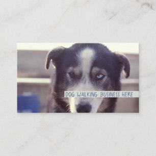 Tarjeta De Visita Dog Walker