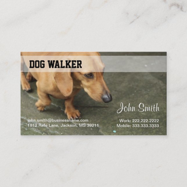 Tarjeta De Visita Dog Walker Business Card (Anverso)